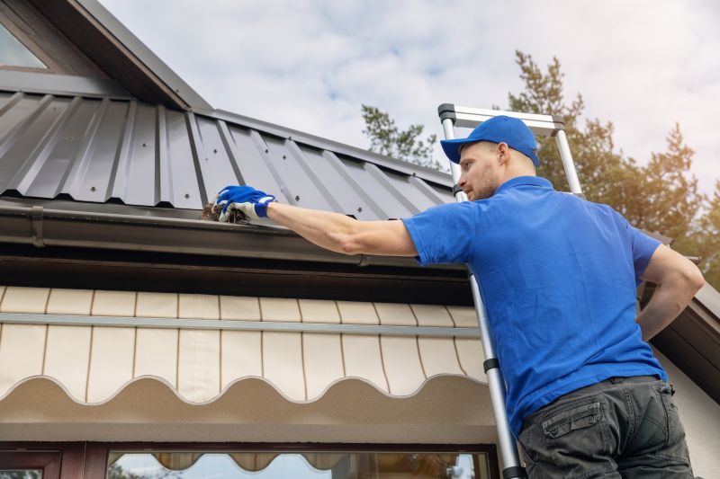 Gutter and Roof System Care
